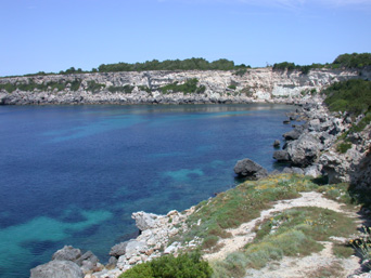 Pianosa, Calamai della Rut